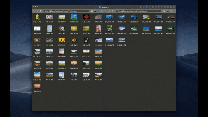 QSpace Multi-Pane Interface
