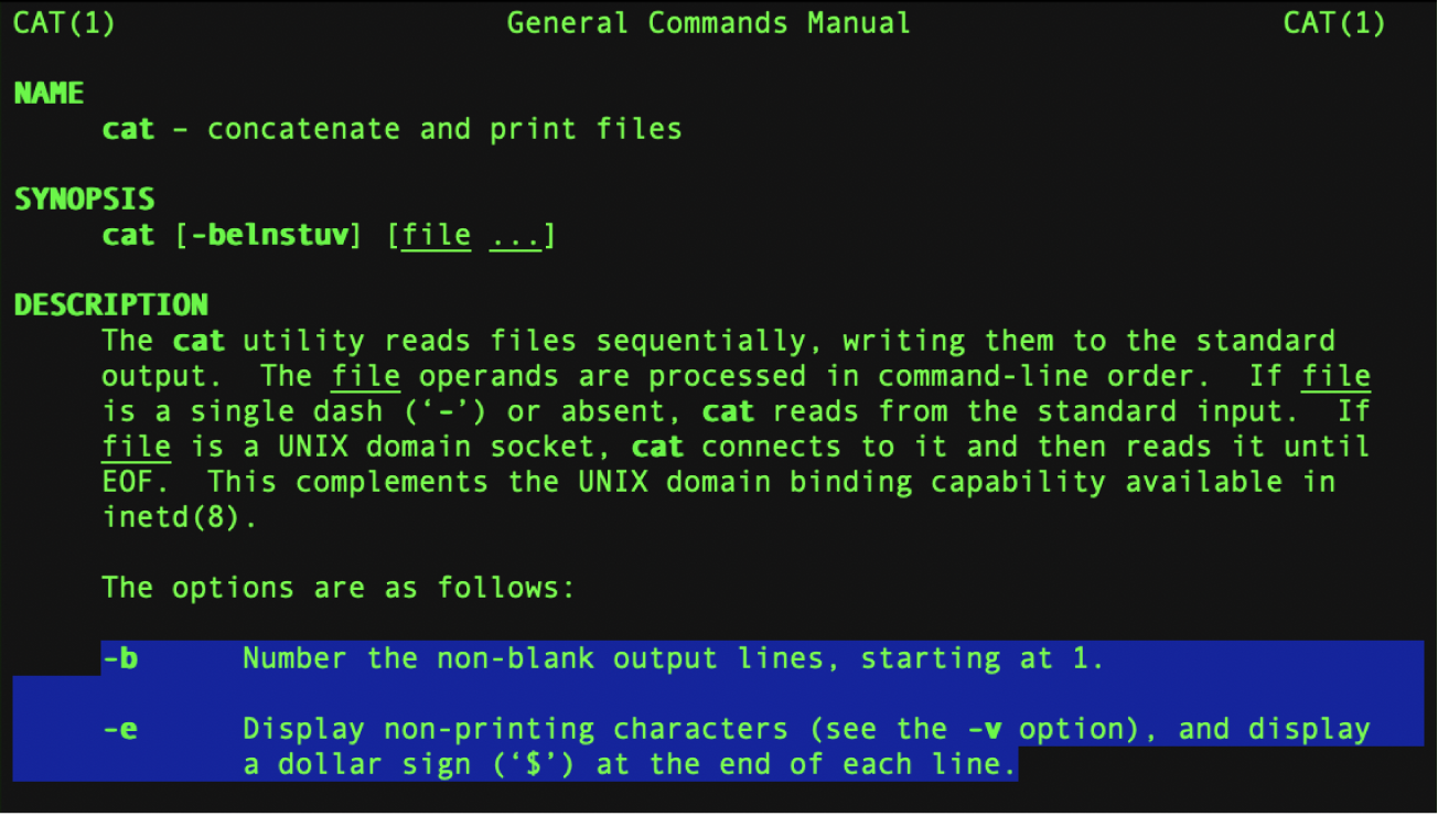 Terminal Window Script Execution