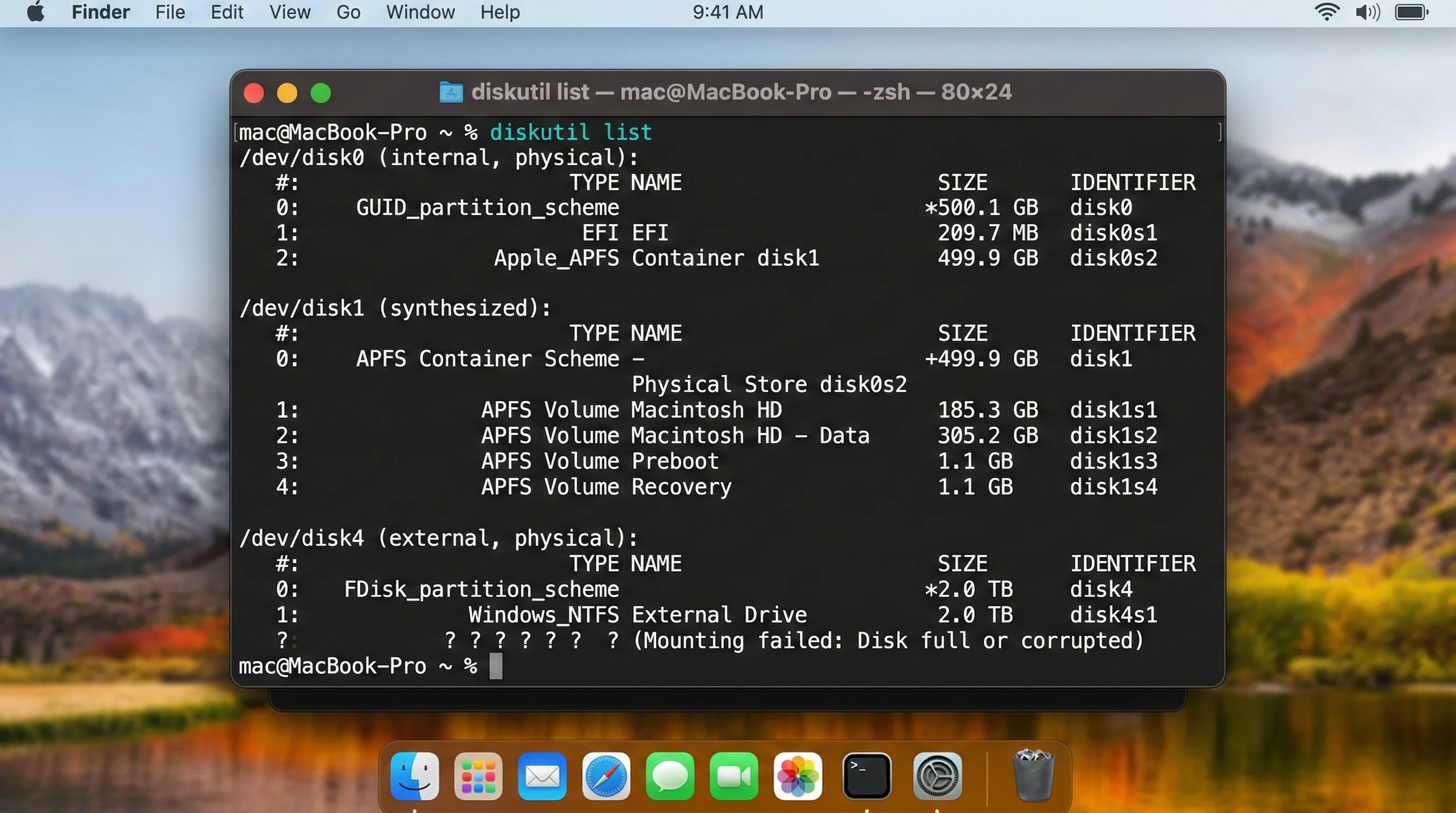 Terminal diskutil list command