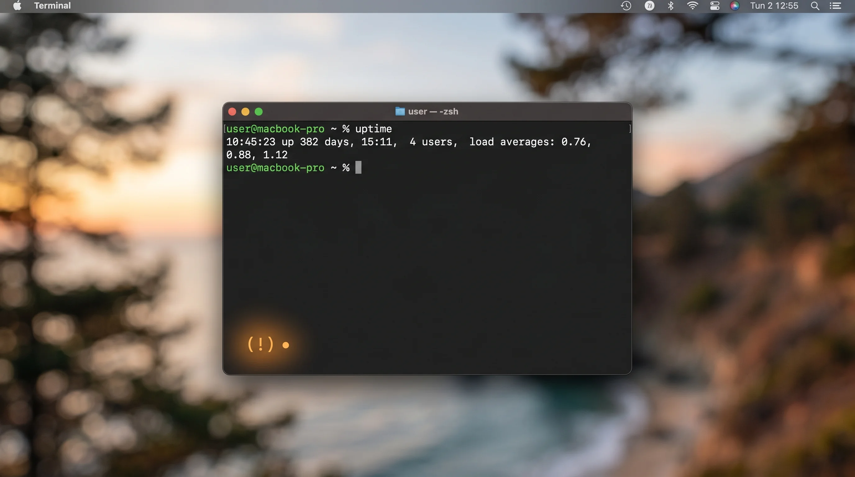 XNU Kernel TCP Integer Overflow Diagram