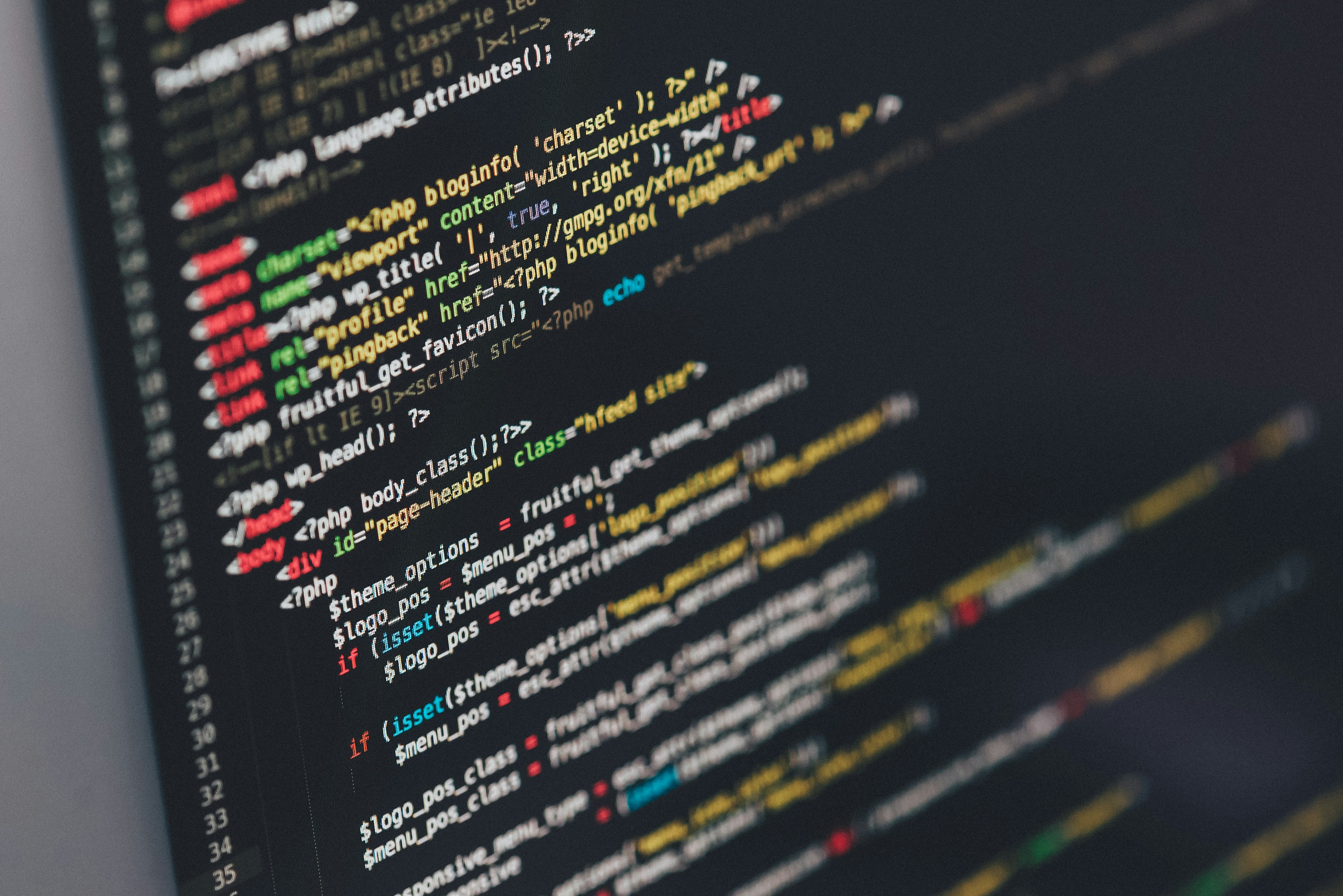 Developer coding and programming environment