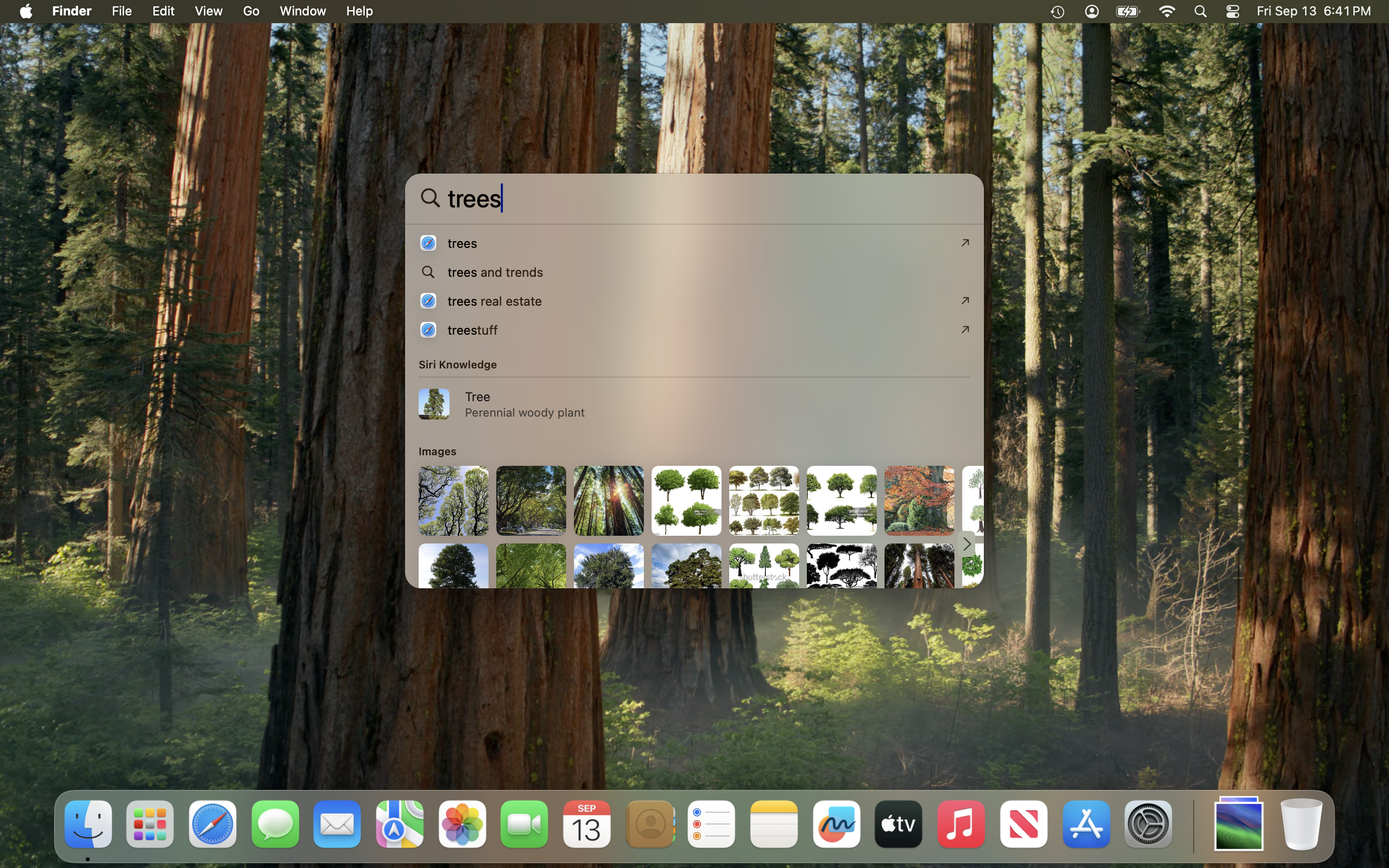 macOS Tahoe Spotlight Search