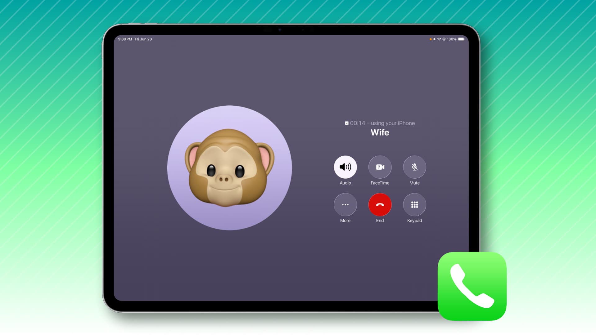 Phone App on iPad