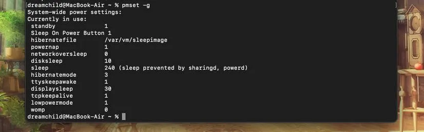pmset Terminal Command