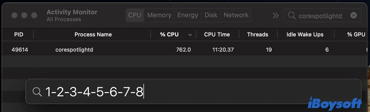 Activity Monitor Spotlight Processes
