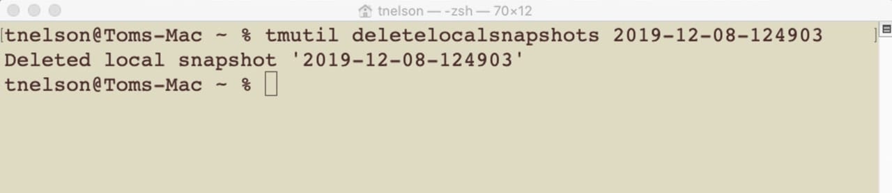 Terminal Delete Snapshot
