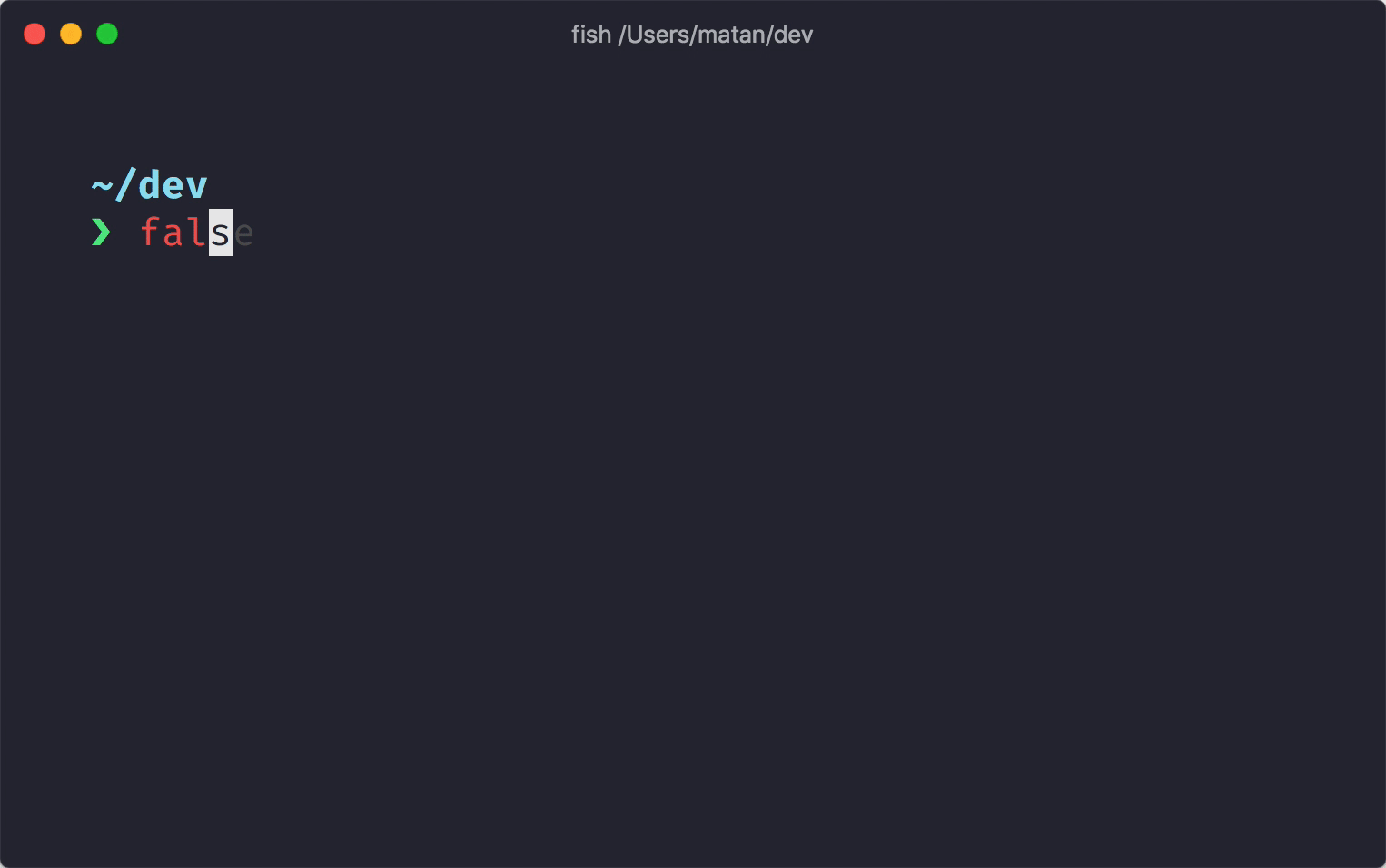 Starship Prompt Demo